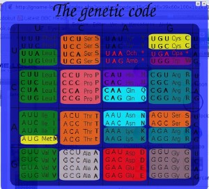 genetic_code
