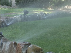 sprinklers