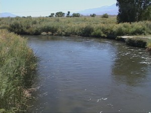 owens_river