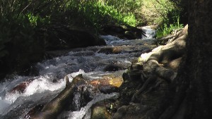 monroe-stream