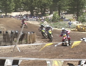 mammothmoto