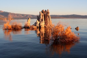 monolaketufa