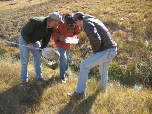 Three Scientists