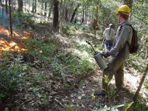 prescribed burn