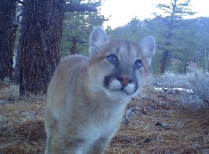 Photos - Eastern Sierra Land Trust