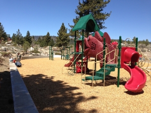 Trails End Park Playground_fish