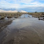 Manzanar-auto-tour-road-flooded-2