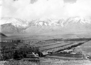 The Red Mountain Fruit Ranch, near Tinemah Creek, circa 1920. Photo courtesy the Eastern California Museum. 