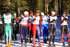 nordicski