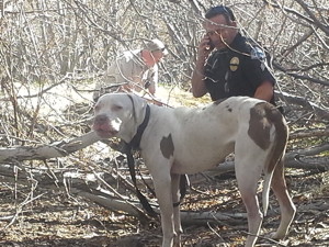 Bentley with Detective Doug Hornbeck (in back) and Sergeant Marc Mosowitz with phone as they rescue the lost dog.