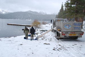 fish stocking mary