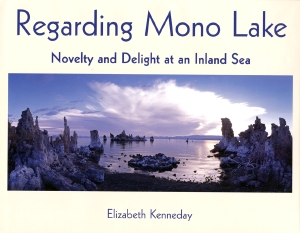 Regarding Mono Lake