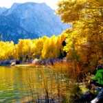 Alicia Vennos hiked to Walker Lake for this photo of aspen at its peak.