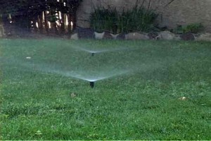 Sprinkler-2