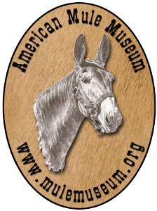 american mule museum