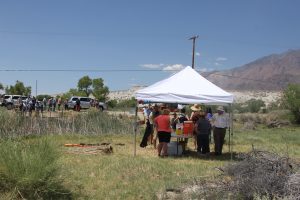 The start of the tour of the proposed Owens River Trail at what would be the intake off Narrow Gauge Road north of Lone Pine. The group was greeted by lemonade, brownies and examples of the tules laying dead on the bank. 