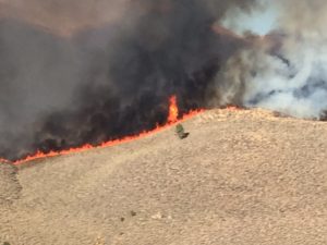 Fire on ridge near Alpers Ranch Photo courtesy Tim Alpers