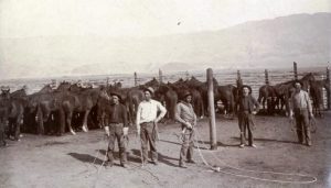 a1011-8-cowboys-mairs-ranch-near-independence-ca-1900