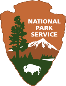 nps