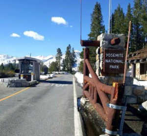 tioga pass