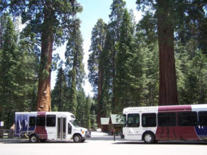 Sequoia Kings bus
