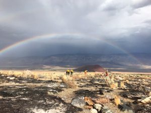 TABOOSE RAINBOW