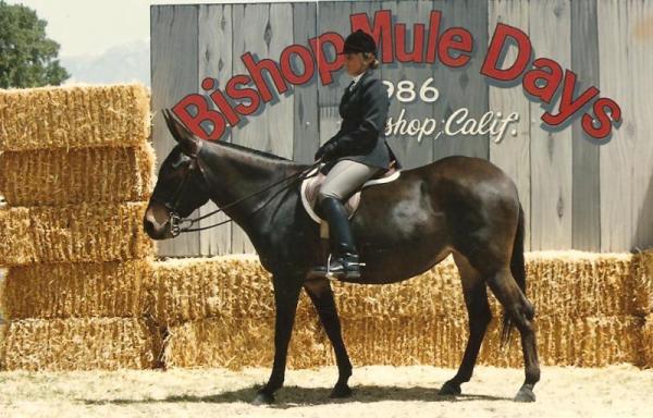 Mule Days photo