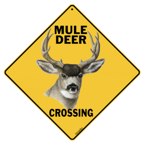 Mule Deer Crossing