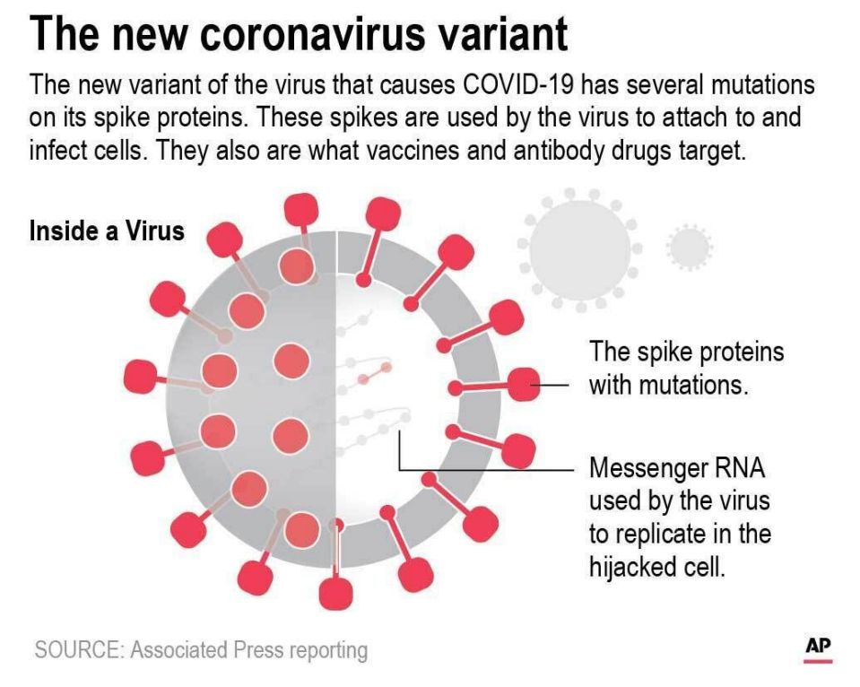 Corona virus variant graphic3