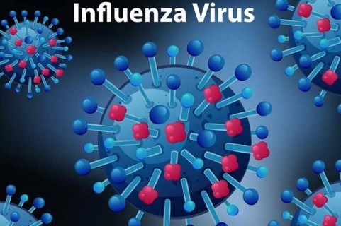 Influenza virus molecule Phone