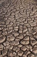 dried mud drought