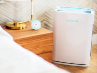 Gear Wynd Home and Halo air purifier credit Wynd