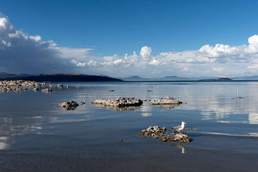 mono lake a large shallow saline soda lake in mono county california bc1a49 1024