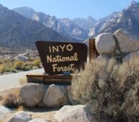 Entering Inyo National Forest Wikipedia 2 Small