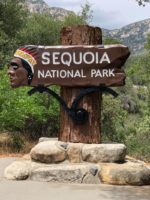 Sequoia National Park Entrance Sign After Restoration