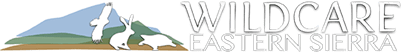 Wildcare Eastern Sierra letterhead logo