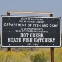 hot creek fish hatchery