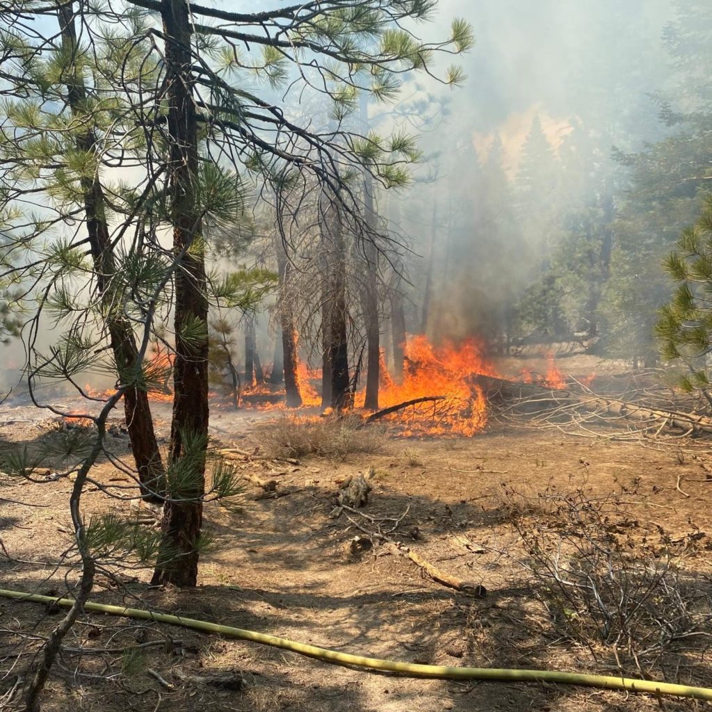 sawmill fire