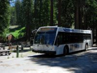 red meadows shuttle to devils postpile