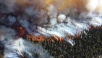 wildfire arial photo 1024x576 1