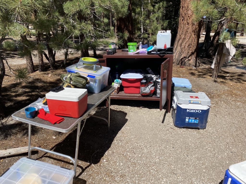 food and coolers out of bear box